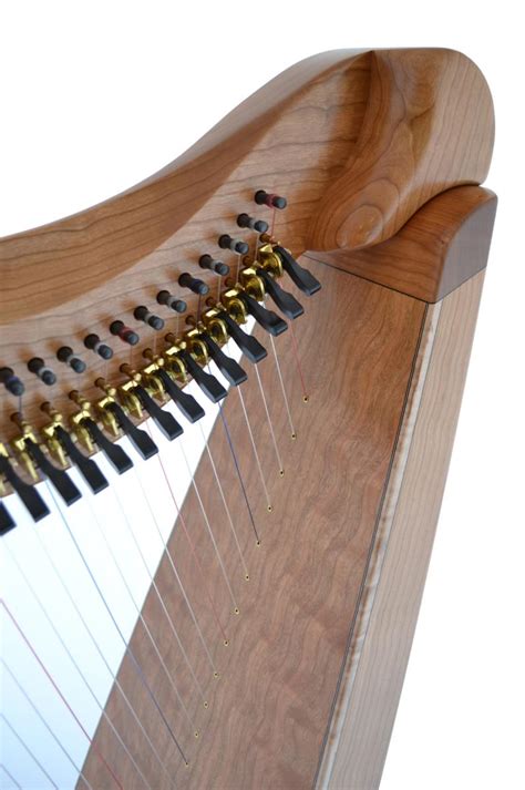 Burgundy back, neck and pillar- 165. . Dusty strings harp